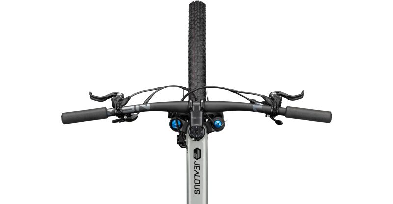 Radon Jealous 8.0 – Nanogrey – Bild 5