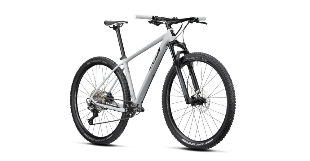 Radon Jealous AL 8.0 – gris froid