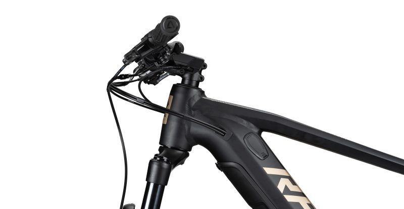 Radon R1 RIVAL AXS – Bild 5
